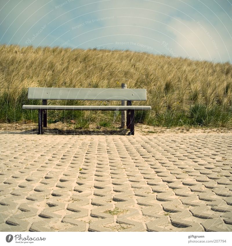 linger on passing by Landscape Summer Plant Grass Hill Coast Wait Marram grass Bench Seating Stone floor Sky Covered Clouds Break Relaxation Contemplative Calm