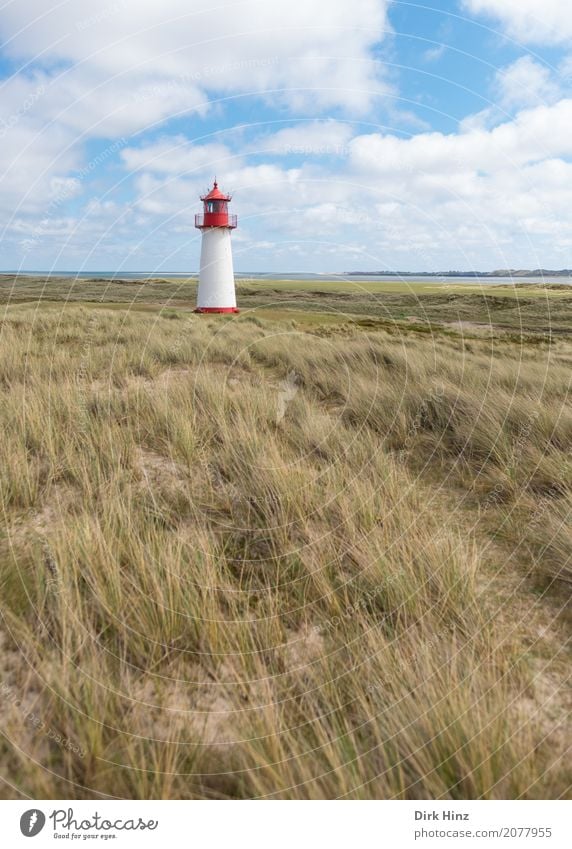 Lighthouse (West) in List on Sylt. Vacation & Travel Tourism Trip Far-off places Freedom Summer Summer vacation Ocean Island Hiking Nature North Sea Maritime