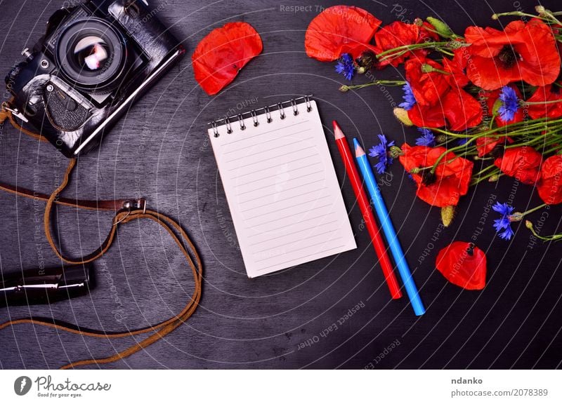 notepad and vintage film camera Tourism Camera Plant Flower Leaf Blossom Paper Pen Bouquet Wood Blossoming Natural Blue Green Red Black Colour Notebook Pencil