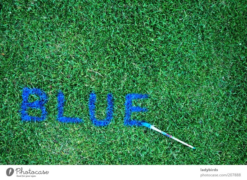 blue or green? Nature Grass Foliage plant Sign Characters Blue Green Design Creativity Art Paintbrush Brush handle Painting (action, artwork) Draw Brush stroke