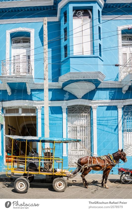 Blue House Village Small Town Brown Yellow Red Horse Horse-drawn carriage Cuba Vintage car House (Residential Structure) Window Carriage Front door Wait Break