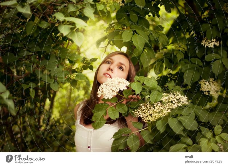 garden dreaming Human being Feminine Young woman Youth (Young adults) Woman Adults 1 18 - 30 years Nature Spring Summer Plant Bushes Blossom Elderflower Garden