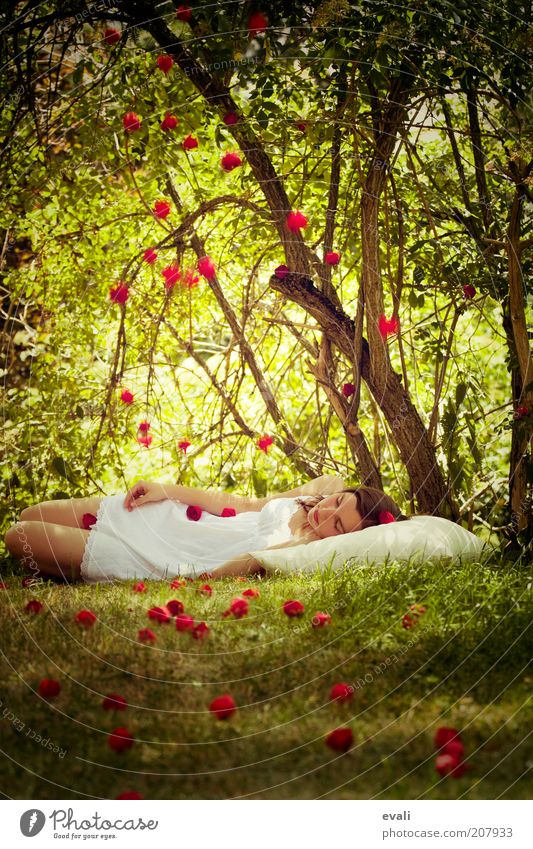 shower of roses Human being Feminine Young woman Youth (Young adults) Woman Adults 1 18 - 30 years Tree Grass Bushes Rose Garden Park Lie Sleep Dream Green Red