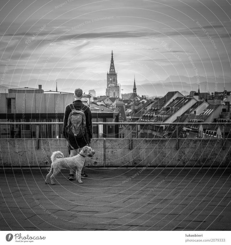 Man with dog looking at the cathedral of Bern and into the distance Human being Masculine Young man Youth (Young adults) Adults 1 18 - 30 years Anticipation