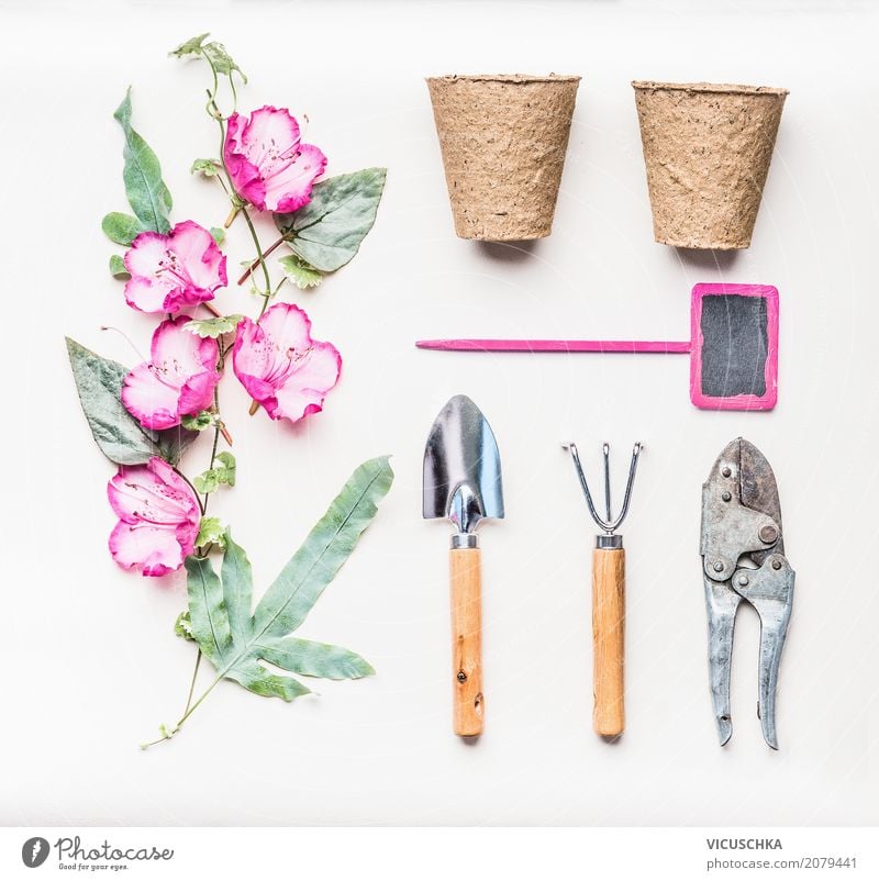 Pink Garden Hand Tools Set Lifestyle Style Design Joy Leisure and hobbies Summer Living or residing Nature Plant Flower Leaf Blossom Decoration Bouquet Ornament