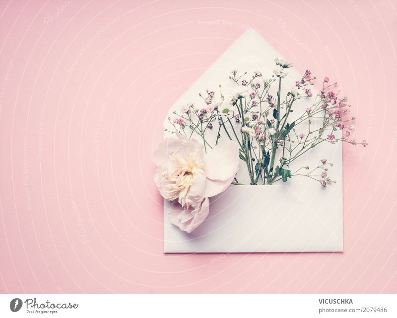 Open envelope with flowers Lifestyle Style Design Decoration Feasts & Celebrations Valentine's Day Mother's Day Wedding Birthday Feminine Nature Plant Paper