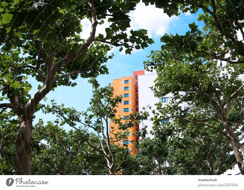 Märkisches Viertel | Beautiful Living Style Living or residing Environment Nature Landscape Tree House (Residential Structure) High-rise Building Architecture