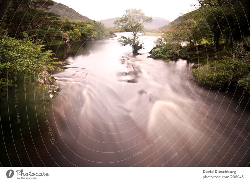 Kerry way Nature Landscape Plant Water Spring Summer Tree Foliage plant Forest River bank Green White Motion blur Ireland Exposure Flow Mountain Colour photo