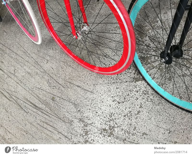 Fashionable city bikes with brightly coloured rims and tyres Lifestyle Shopping Style Design Joy Fitness Cycling tour Trade Youth culture Subculture Party Town