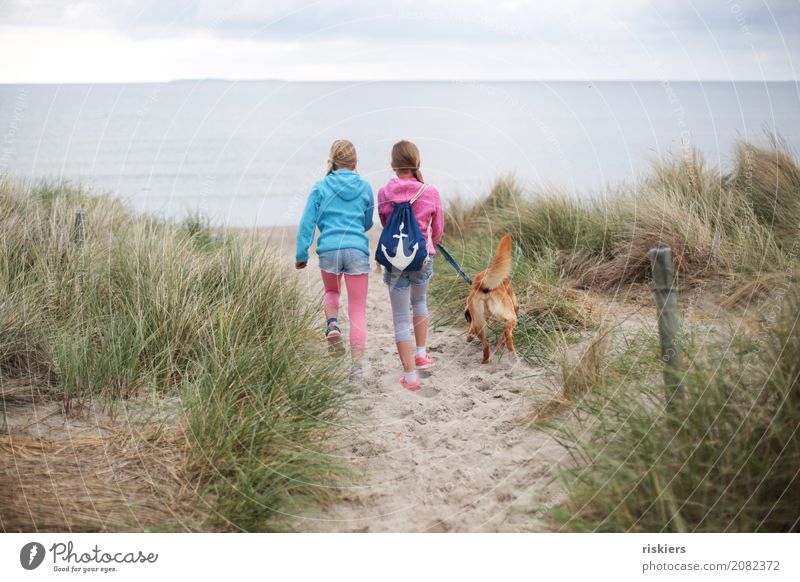 Beach walk ii Human being Child Girl Brothers and sisters Sister Family & Relations Infancy 2 Environment Nature Landscape Baltic Sea Animal Pet Dog 1 Discover