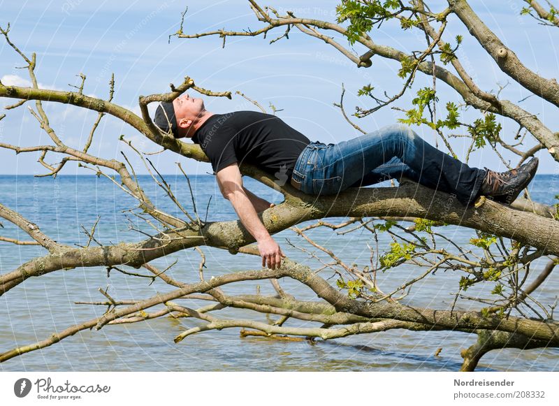 Man relaxes on a tree on the beach of the Baltic Sea Lifestyle Style Joy Healthy Wellness Harmonious Well-being Contentment Relaxation Vacation & Travel