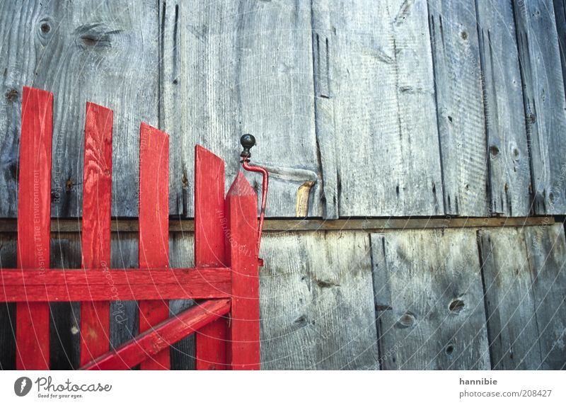 It's open! Door Wood Gray Red Fold Wooden hut Garden door Weathered Open Canceled Rural Colour photo Exterior shot Deserted Day Copy Space right Copy Space top
