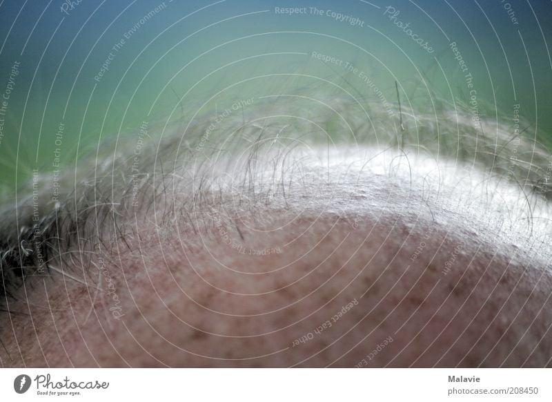 It's still sprouting up Human being Masculine Man Adults Head Hair and hairstyles 1 45 - 60 years Above Senior citizen Beautiful Growth Colour photo Close-up