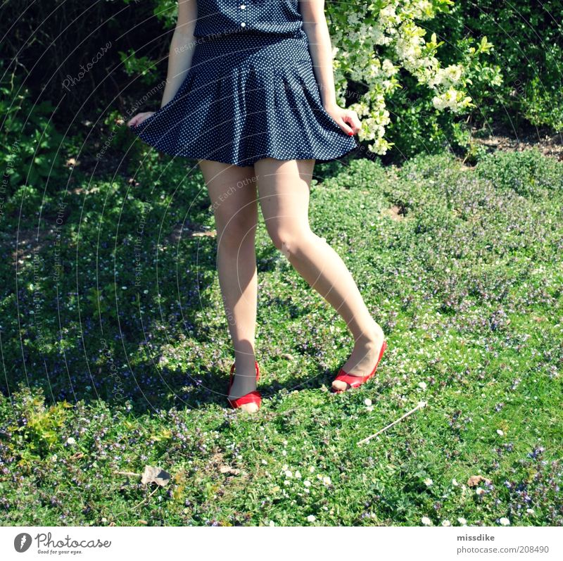 rock on Feminine Young woman Youth (Young adults) Legs 1 Human being 18 - 30 years Adults Rockabilly Retro Nature Plant Spring Beautiful weather Flower Grass