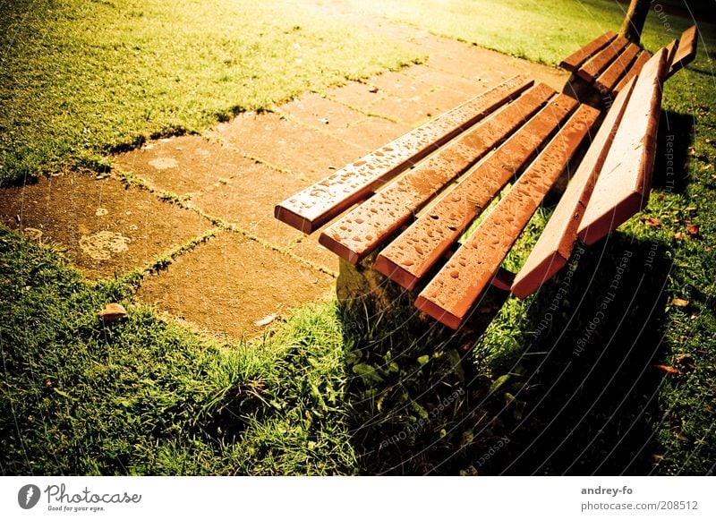 bench Park Bench Seating Night shot Evening Colour photo Exterior shot Calm Rain Drops of water Wet Damp Meadow Wooden bench 2 Stone floor Dusk Empty Free Flare
