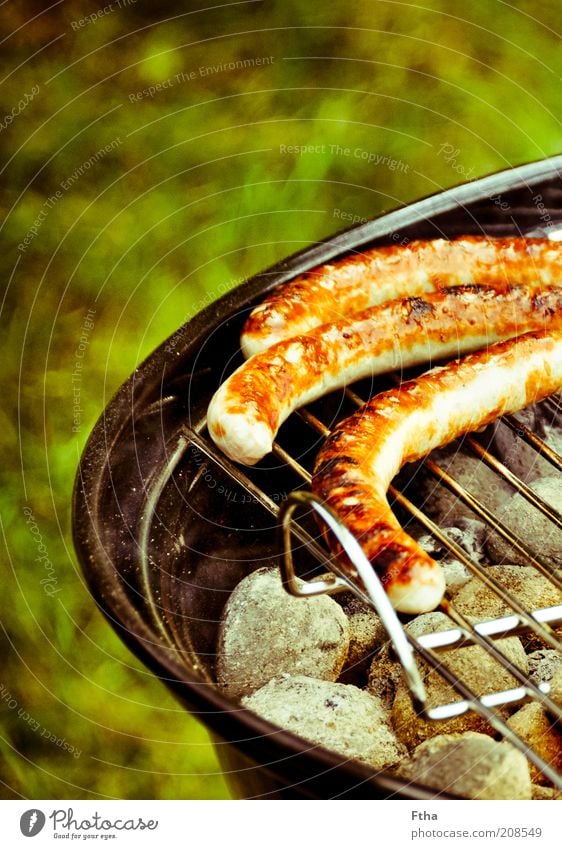 I'm about to go Food Sausage Barbecue (event) Grill Charcoal (cooking) BBQ season Barbecue area Bratwurst Small sausage Summer Feasts & Celebrations Fat Pork