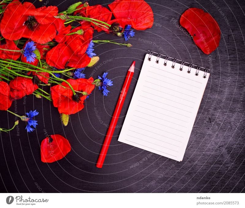 Empty paper notebook with a red pencil Feasts & Celebrations Valentine's Day Mother's Day Plant Leaf Blossom Paper Bouquet Blossoming Natural Blue Green Red