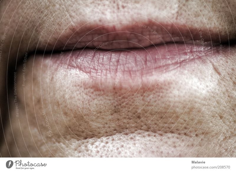 lip service Woman Adults Lips 1 Human being 45 - 60 years Old Natural Senior citizen Colour photo Close-up Detail Day Wrinkle Skin Pore Detail of face