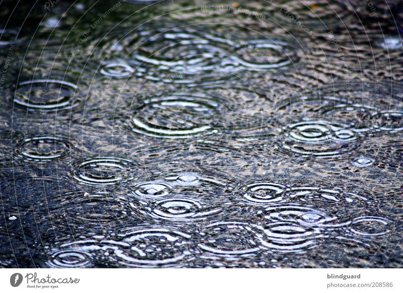 summer rain Water Drops of water Climate change Weather Bad weather Storm Rain Wet Blue Multicoloured Black Deluge Circle Colour photo Exterior shot Deserted