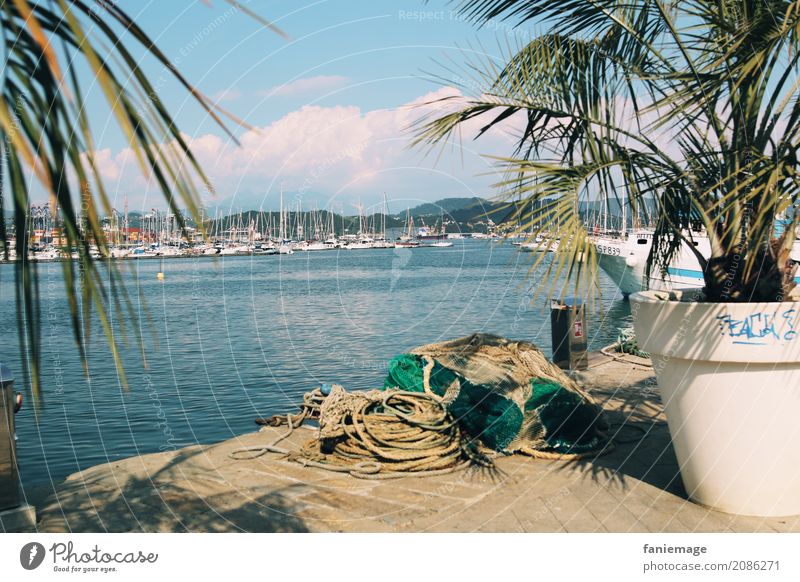 Cinque Terre XIV - La Spezia Town Port City Hot Liguria Italy Palm tree Mediterranean sea Harbour Watercraft Linen Rope Fishery Fishing (Angle) Summer