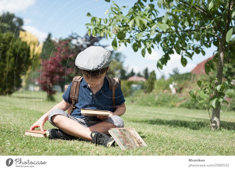 read Leisure and hobbies Masculine Child Boy (child) Infancy Life 1 Human being 3 - 8 years Summer Beautiful weather Garden Meadow Reading Sit Dream Authentic