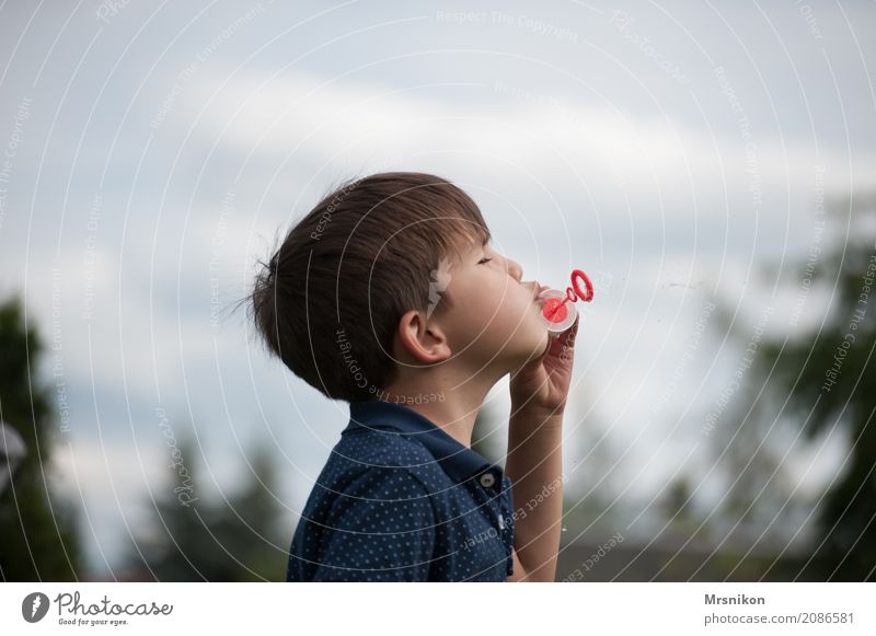 soap bubbles Human being Child Boy (child) Infancy Life 1 3 - 8 years Playing Soap bubble Brunette Exterior shot Happy Colour photo Copy Space top Day