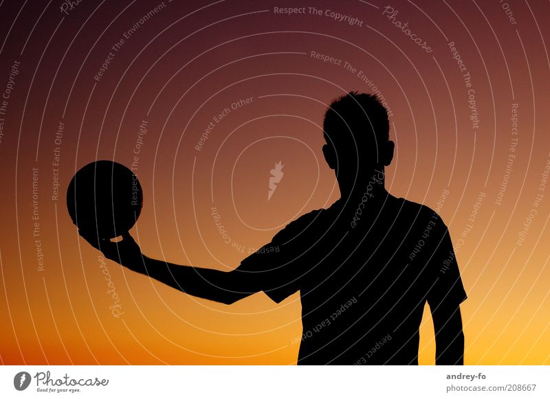 silhouette Masculine Man Adults Summer Ball Sphere Brown Yellow Red Black Volleyball Silhouette Sportsperson Athletic Volleyball player Ball sports Upper body