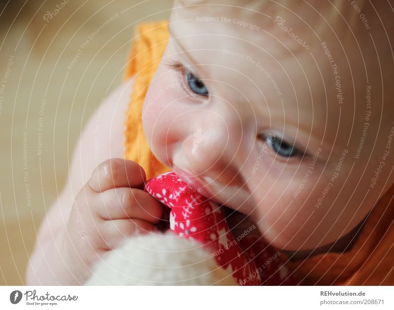 "Doesn't even taste that good." Child Baby 1 Human being 0 - 12 months Happy Small Curiosity Discover Experience Joy Playing Blonde Fingers Attempt Toys Red