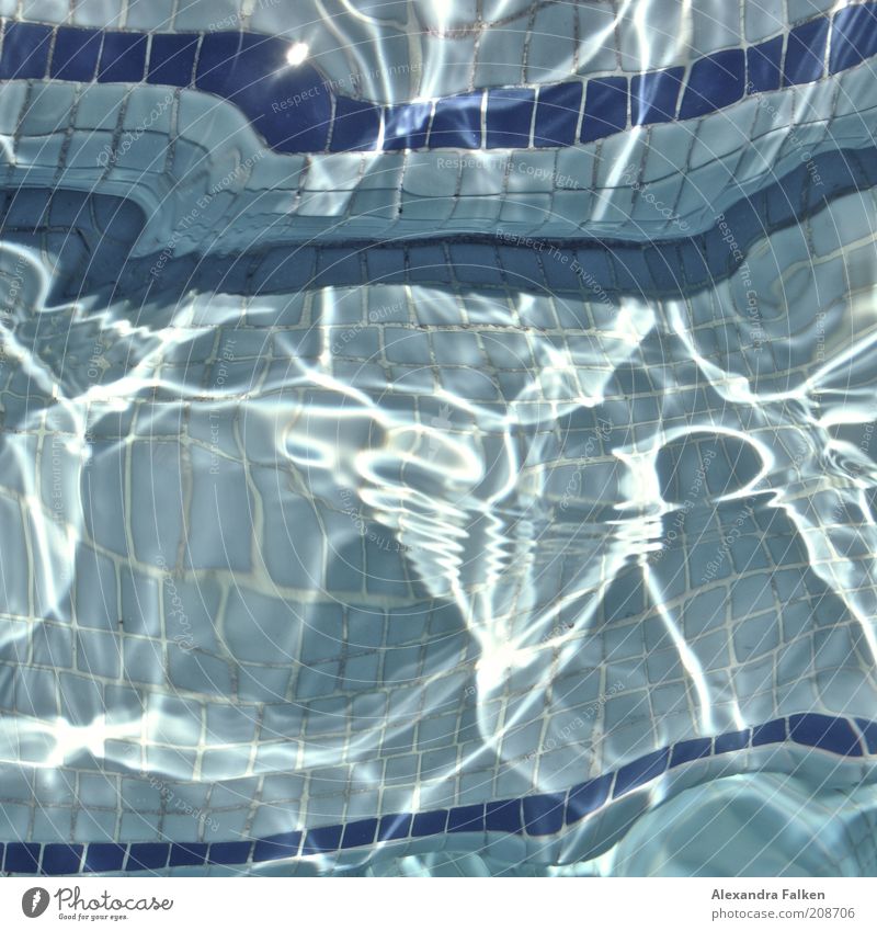 pool Style Life Harmonious Well-being Contentment Relaxation Blue Swimming pool Mosaic Tile Reflection Refraction Colour photo Deserted Day Surface of water