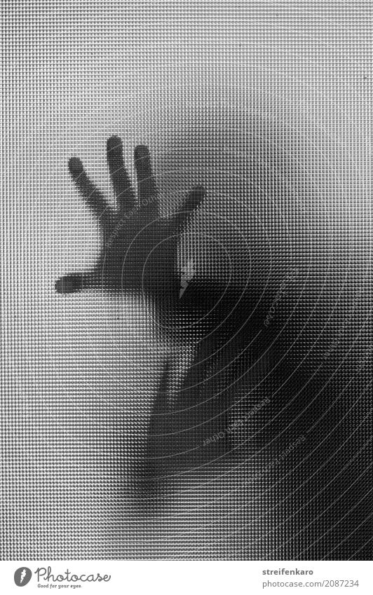 Human silhouette behind a glass pane, hands touching the pane Woman Adults Man Hand 1 Human being Glass Touch Fight Argument Aggression Esthetic Threat Dark