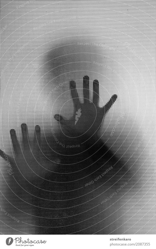 Human silhouette behind a glass pane, hands touching the pane Human being Woman Adults Man Hand 1 30 - 45 years Glass Touch Aggression Esthetic Threat Dark