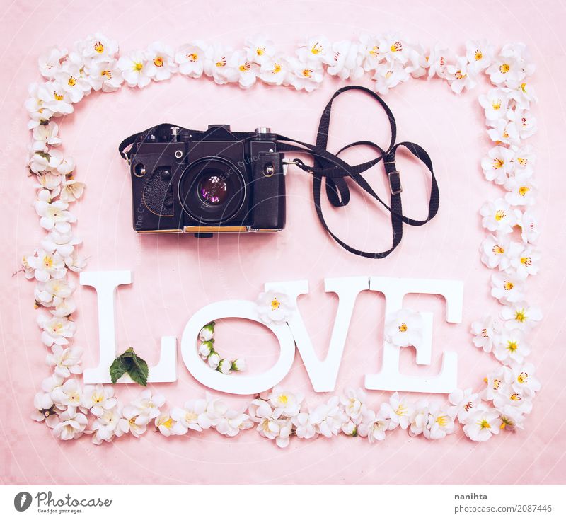 Floral frame with the word LOVE and an analog camera Leisure and hobbies Handcrafts Art Artist Culture Youth culture Photography Photographer Camera Analog