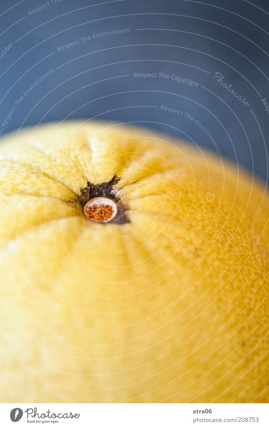 Pomelo Food Fruit Orange Lemon Citrus fruits Nutrition Delicious Colour photo Interior shot Close-up Copy Space top Neutral Background Yellow Grapefruit