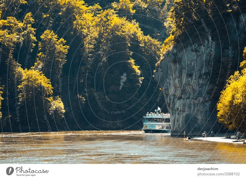 A ship comes around the Danube narrows. On the right big rocks, on the left rocks and small trees and bushes illuminated by the sun. On the way to Weltenburg Monastery