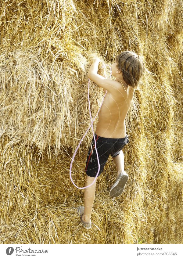 When we climb... Life Summer Child Boy (child) 1 Human being 8 - 13 years Infancy Agricultural crop Movement Fitness Free Joy Joie de vivre (Vitality) Optimism