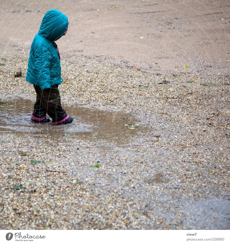 Finger small ... Playing Human being Child Toddler Girl 1 1 - 3 years Water Summer Climate Bad weather Rain Observe Discover Make Uniqueness Wet Positive Puddle