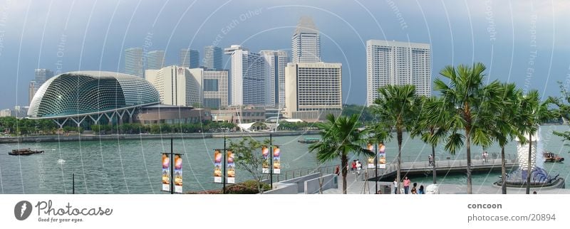 Palms & Skyscrapers Summer Avenue Gorgeous Vacation mood Town Ocean Thailand Singapore Los Angeles Sun Exotic Skyline Blue River merlion