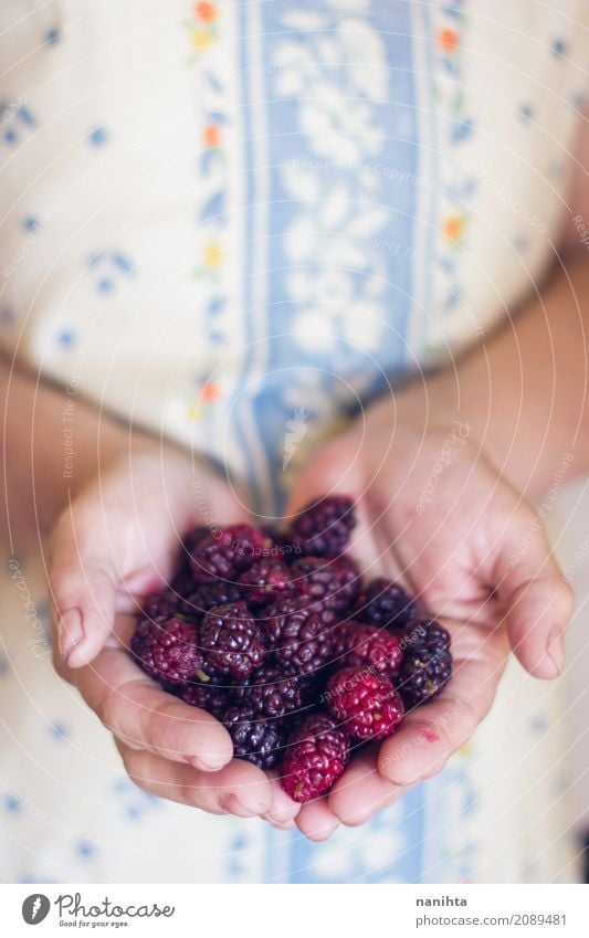 Old woman's hands holding blackberries Food Fruit Blackberry Nutrition Organic produce Vegetarian diet Human being Feminine Young woman Youth (Young adults)