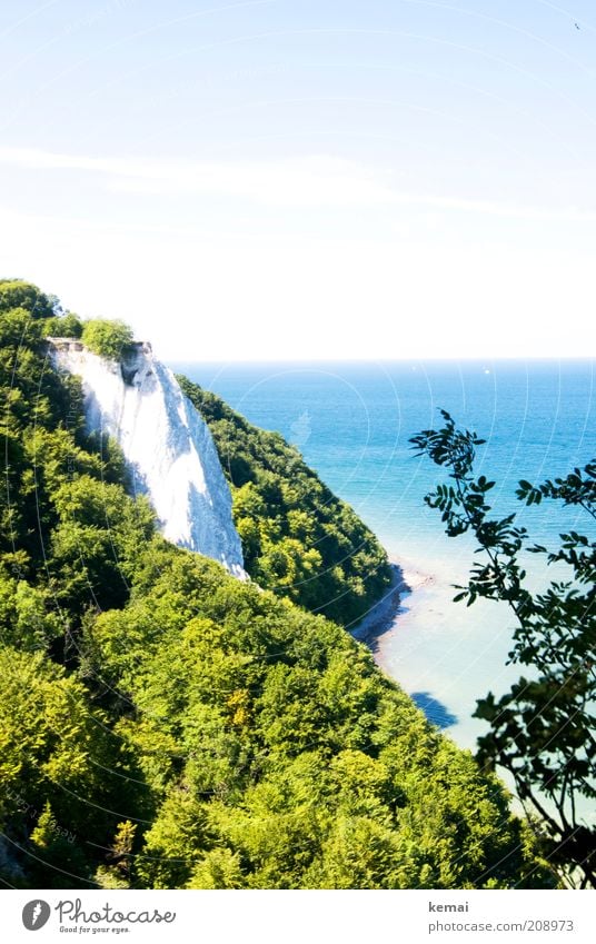 royal chair Environment Nature Landscape Plant Elements Water Sky Sunlight Summer Climate Beautiful weather Warmth Foliage plant Hill Rock Coast Bay Baltic Sea