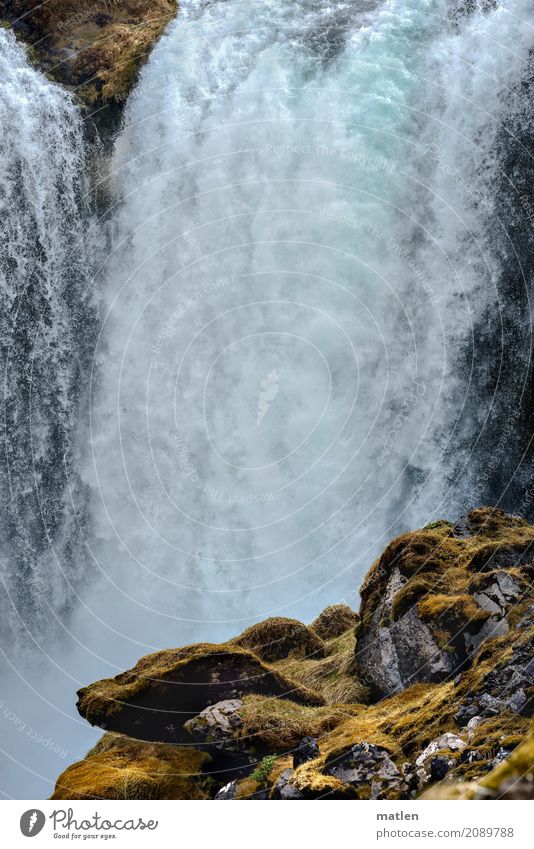 Iceland Nature Landscape Elements Water Moss Rock Mountain Waterfall To fall Colour photo Subdued colour Exterior shot Deserted Copy Space left Copy Space right