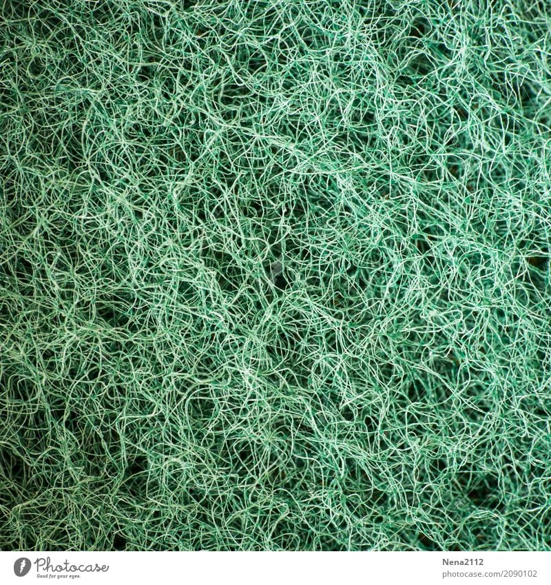 Tohuwabohu | Confusion Redecorate Green Sponge Scratch Sewing thread Muddled Knot Infinity Chaos Oven cloth Rasping Colour photo Interior shot Studio shot