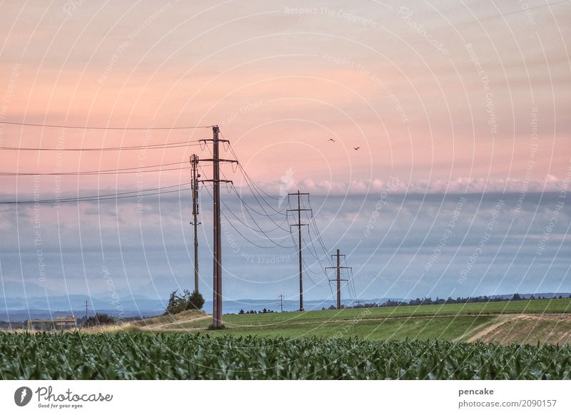switzerland side of life Cable Technology Nature Landscape Elements Earth Sky Summer Plant Agricultural crop Beautiful Switzerland Electricity pylon Field
