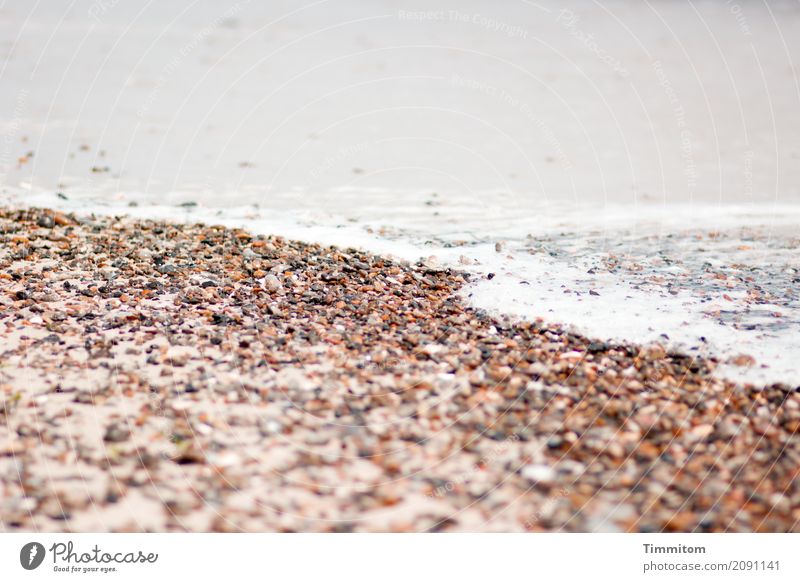 cooling down. Vacation & Travel Beach Waves Environment Elements Sand Air Water North Sea Denmark Stone Simple Natural Brown Gray White White crest Colour photo