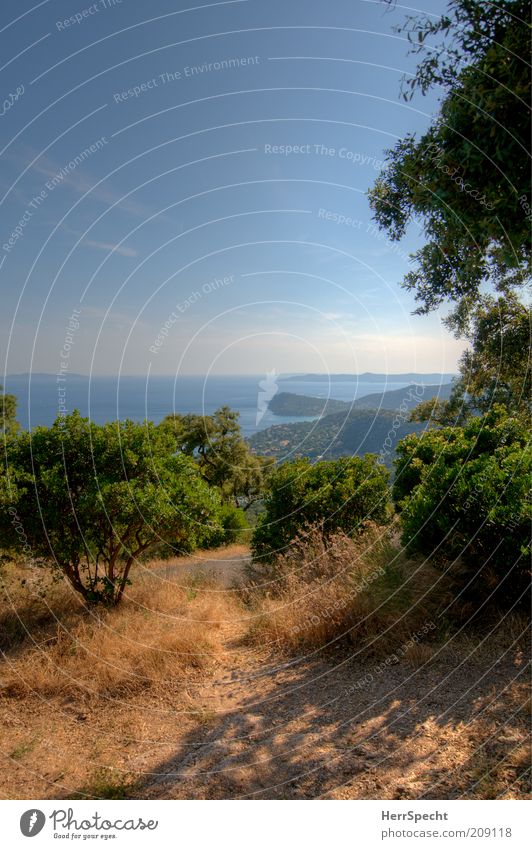 Côte du Var Environment Nature Landscape Plant Sky Sunlight Summer Beautiful weather Tree Grass Bushes Hill Coast Ocean Mediterranean sea France Blue Brown