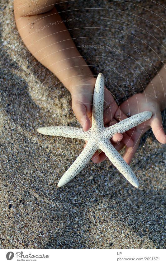 child holding a starfish Lifestyle Style Wellness Harmonious Well-being Contentment Senses Relaxation Calm Meditation Leisure and hobbies Playing