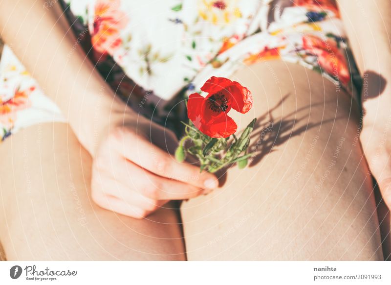 Young woman's hand holding a poppy flower Lifestyle Senses Fragrance Human being Feminine Youth (Young adults) Hand Legs 1 18 - 30 years Adults Nature Sun