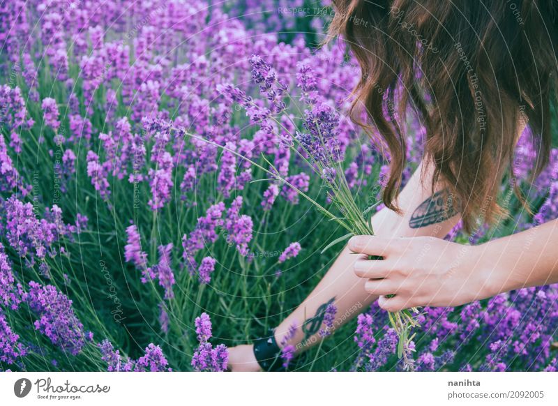 Young woman harvesting lavender Lifestyle Fragrance Human being Feminine Youth (Young adults) 1 18 - 30 years Adults Environment Nature Plant Flower