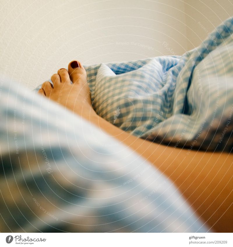 rise and shine Human being Feminine Woman Adults Legs Feet Toes Toenail Parts of body 1 Lie Sleep Life Wake up Bed Bedclothes Checkered Varnished Nail polish