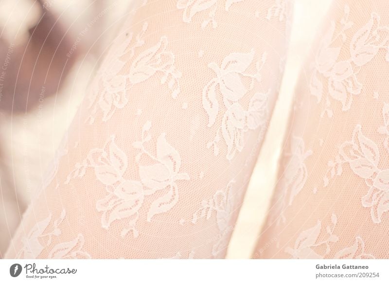 legs Feminine Legs 1 Human being Fashion Clothing Stockings Bright Thin White Translucent Colour photo Shallow depth of field Glimmer Transparent Pattern Pink