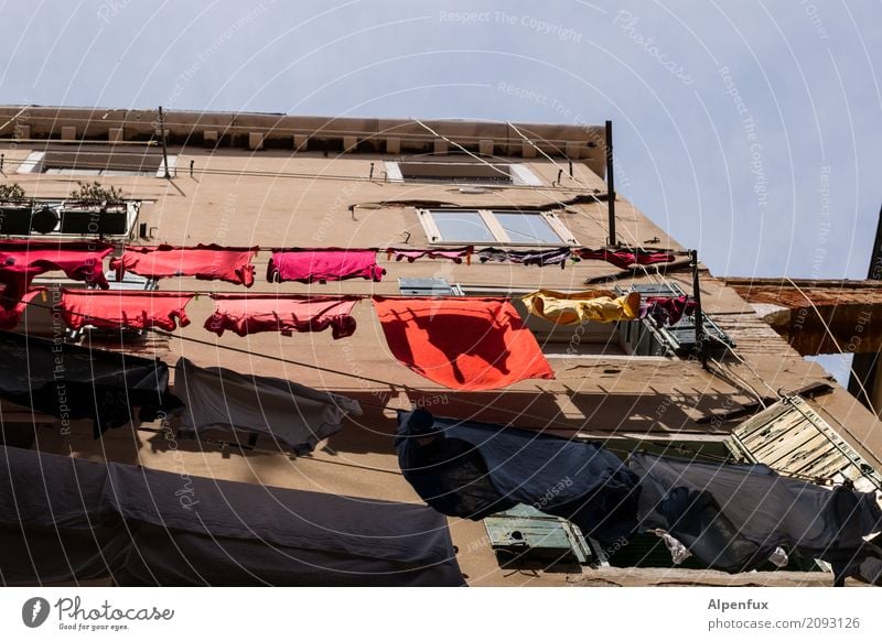 Shared flat | Washing day Venice Italy Outskirts House (Residential Structure) Building Wall (barrier) Wall (building) Window Laundry Clothesline Clothes peg